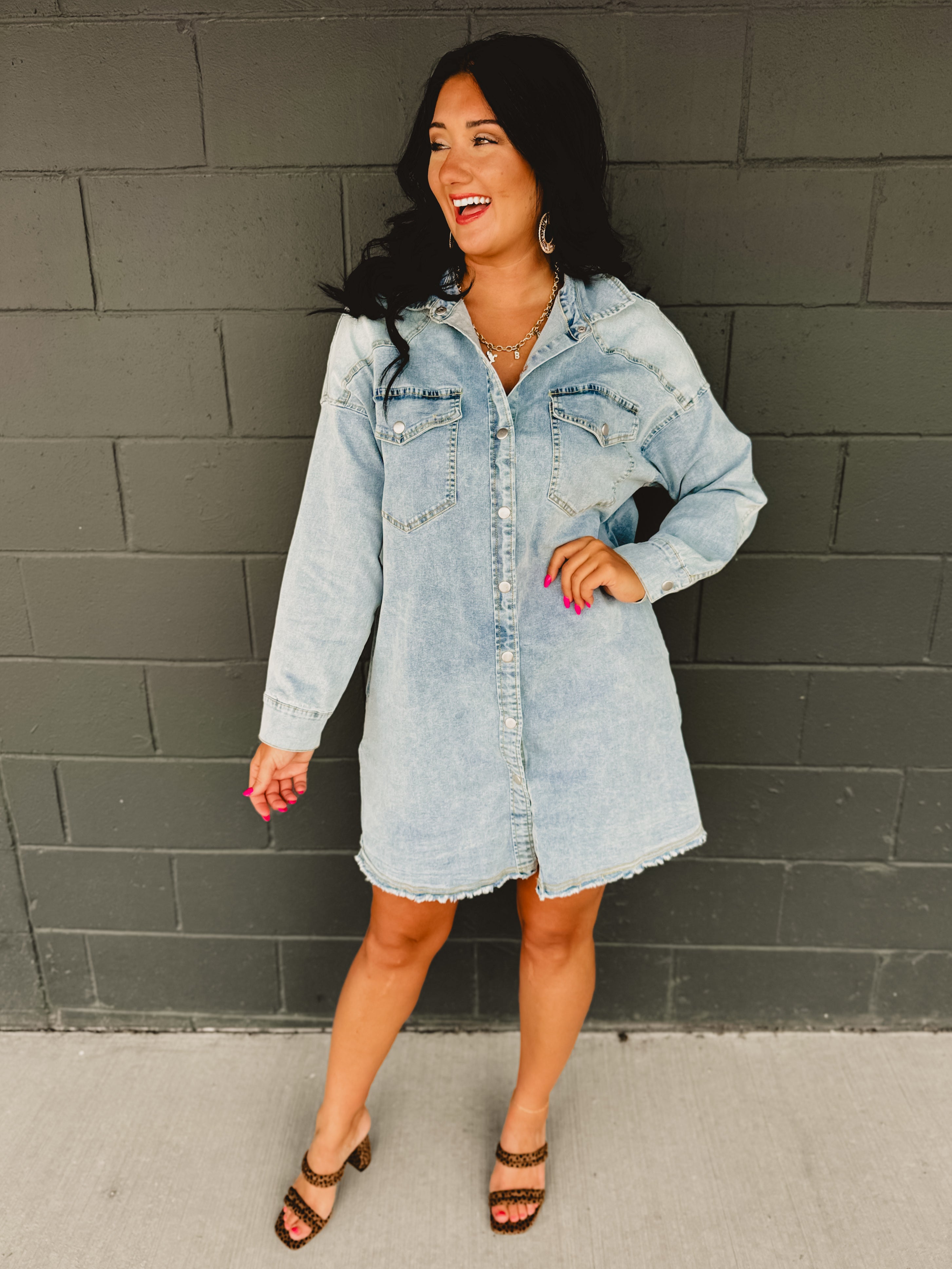 Light Denim Button Down Long Sleeve Dress